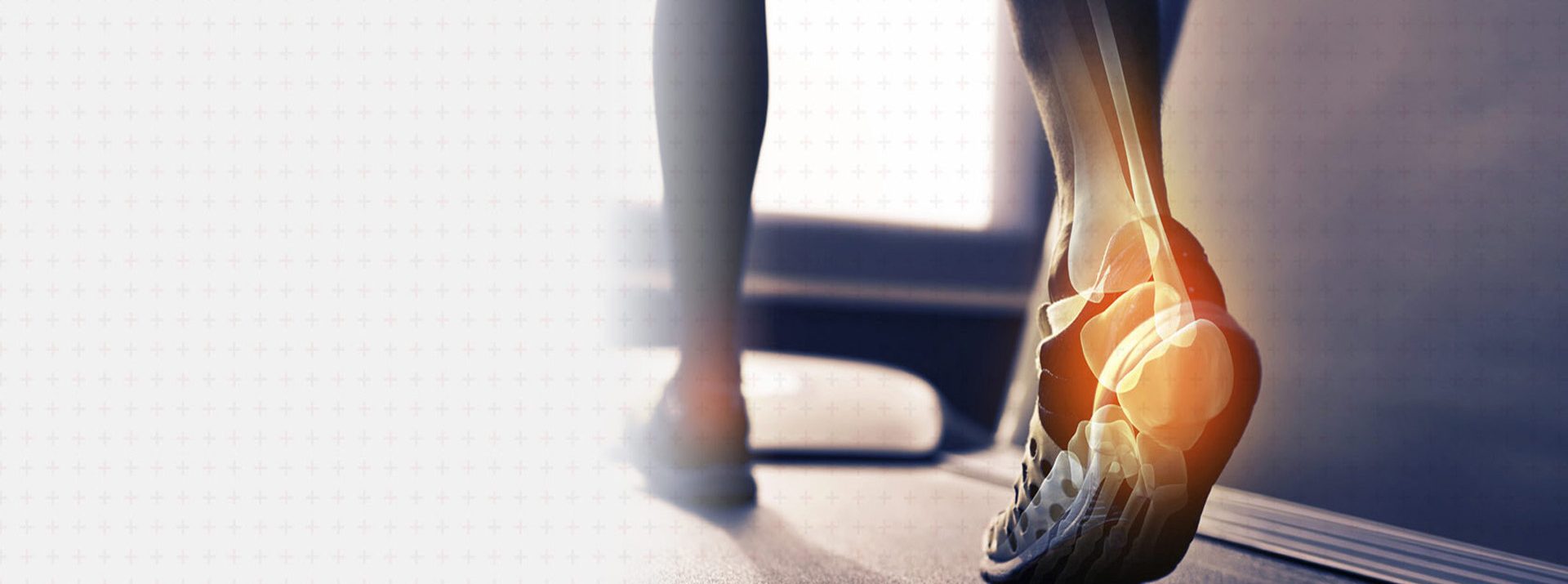 20 Yıllık tecrübe